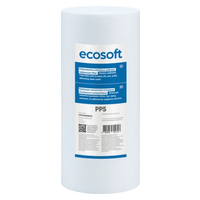 Ecosoft 4,5"x10" 5 мкм (CPN45105ECO)