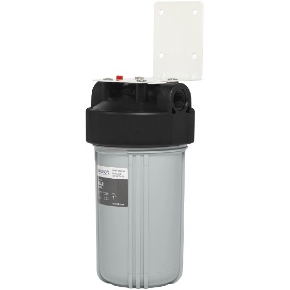 Магистральный  фильтр Ecosoft BB10 1" (FPV4510ECOGR)