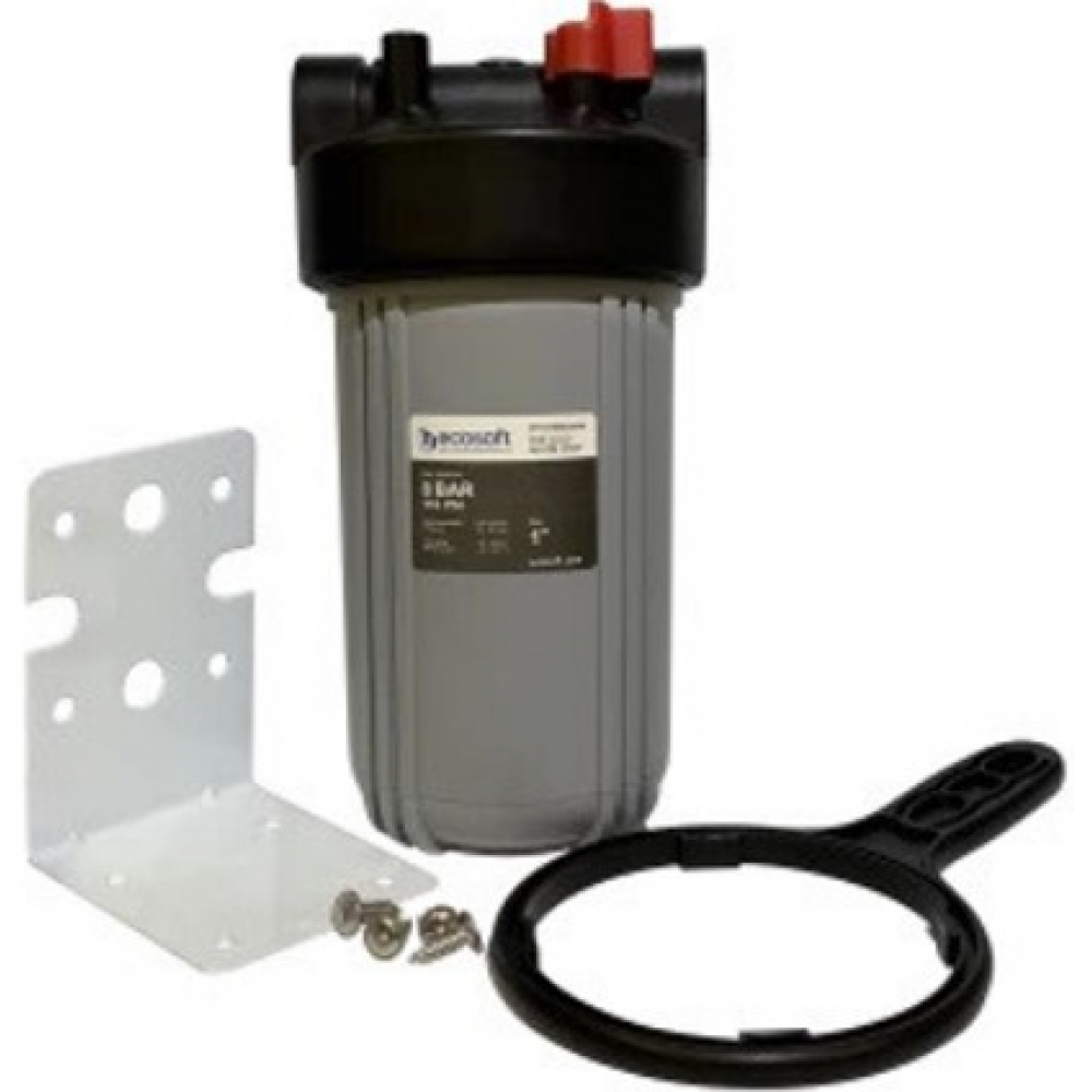 Магистральный  фильтр Ecosoft BB10 1" (FPV4510ECOGR)