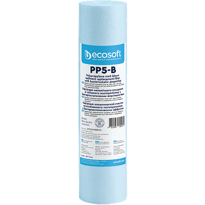 Ecosoft 2,5"x10" 5 мкм (CPV25105BECO)