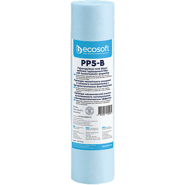 Ecosoft 2,5"x10" 5 мкм (CPV25105BECO)