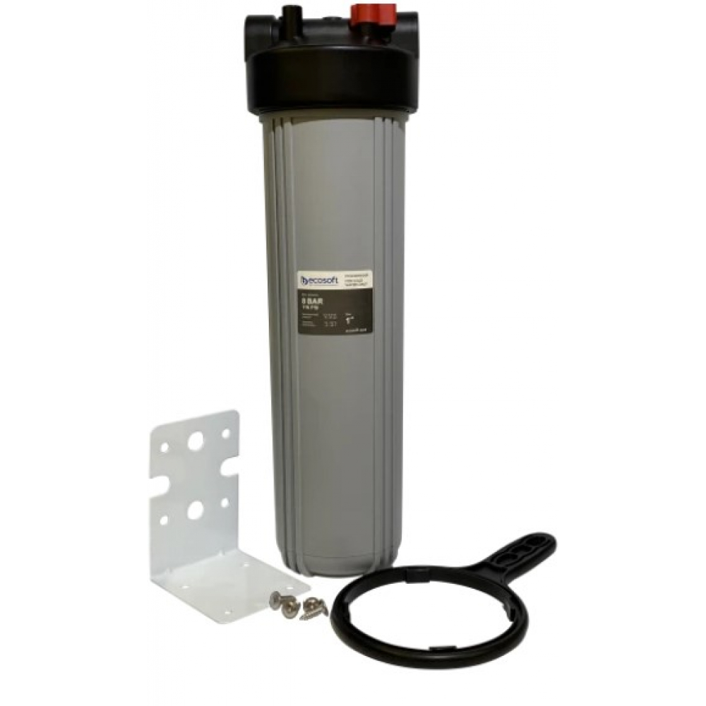 Магистральный  фильтр Ecosoft BB20 1" (FPV4520ECOGR)