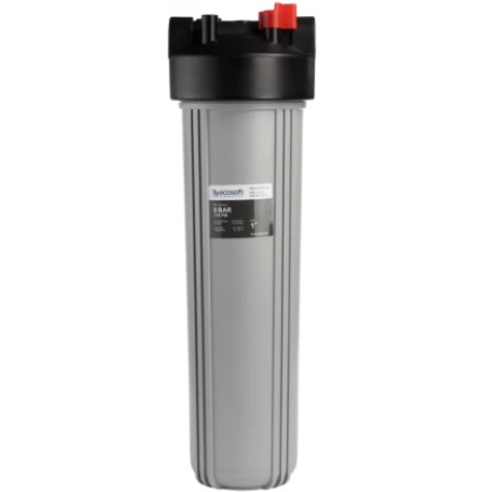 Магистральный  фильтр Ecosoft BB20 1" (FPV4520ECOGR)