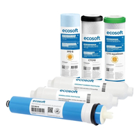 Ecosoft Absolute "12 місяців" (CHV6ECOABS)
