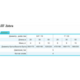Шланг для полива Rudes Zebra 20 м 3/4" (11090)