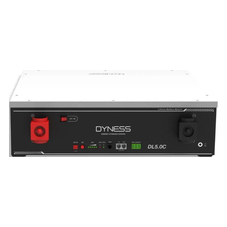 Dyness DL5.0C 51.2В/100Ач (5.12 кВт•ч)