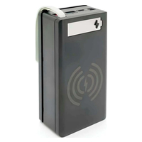 Voltronic C12-PD-QI под 12х18650