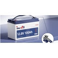 Акумулятор літій-залізо-фосфатний Timeusb T12V100-100-TM-4-A100 LiFePO4 12.8V 100Ah Low-Temp 1280Wh