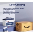 Акумулятор літій-залізо-фосфатний Timeusb T12V100-100-TM-4-A100 LiFePO4 12.8V 100Ah Low-Temp 1280Wh