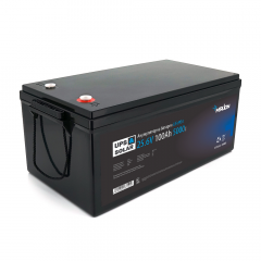 Merlion LiFePO4 25.6V 100AH ​​(8S2P/BMS-100A)