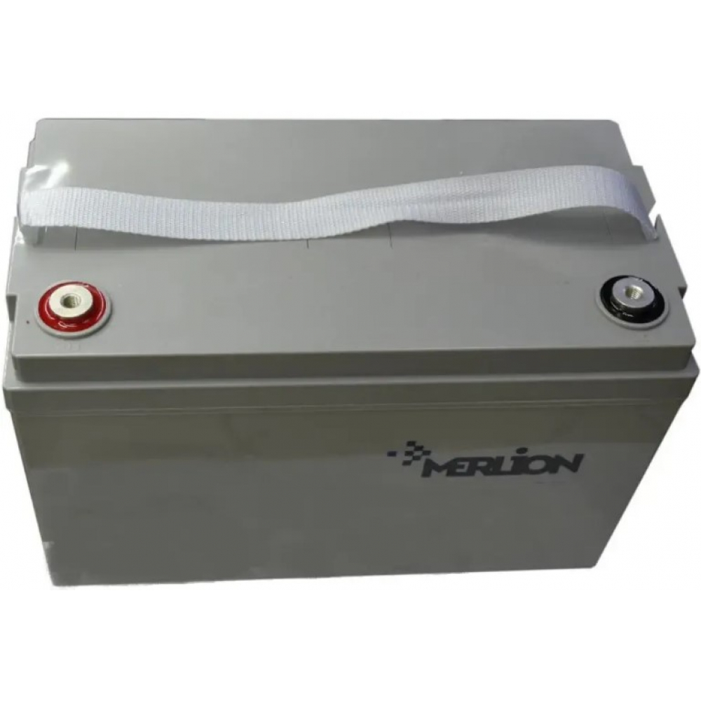 Аккумулятор Merlion AGM GP121000M8 12V100Ah
