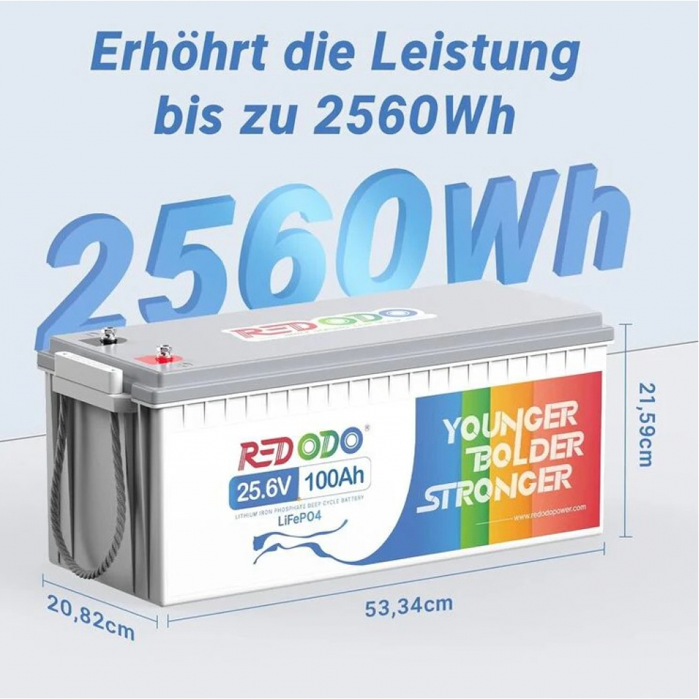 Акумулятор Redodo  2,56kWh LiFePO4  (24V 100Ah)