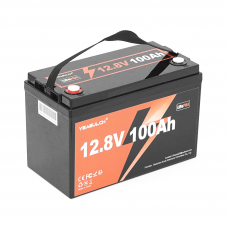 Yeagulch LiFePO4 12,8V 100Ah