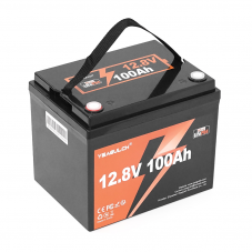 Yeagulch Mini Max LiFePO4 12,8V 100Ah