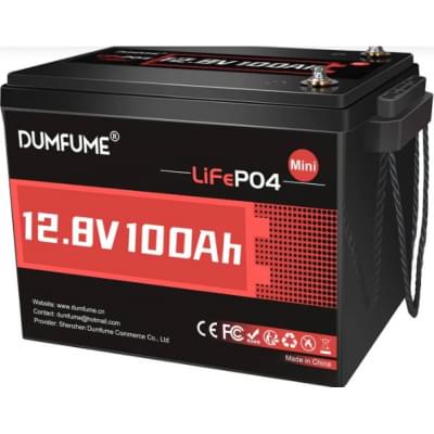 Акумулятор літій-залізо-фосфатний Dumfume MINI MAX LiFePO4 12,8V 100Ah 1280Wh