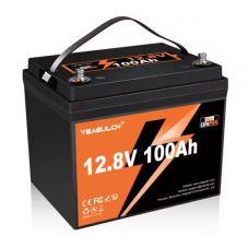 Yeagulch Mini LiFePO4 12,8V 100Ah