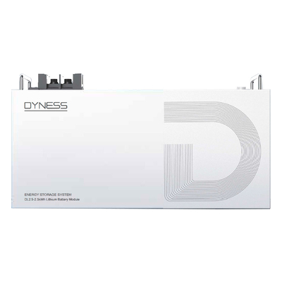 Акумуляторна батарея Dyness DL2.5 LiFePO4, 25.6V/100Аh