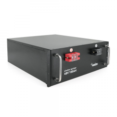 Merlion LiFePO4 48V 100AH для Solar, BMS-100A