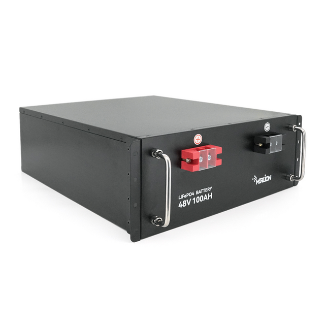 Акумулятор літій-залізо-фосфатний (LiFePo4) Merlion LiFePO4 48V 100Ah для Solar, BMS-100A (48V 100Ah)