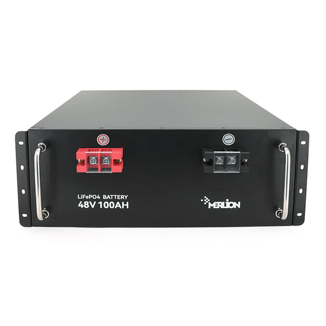 Акумулятор літій-залізо-фосфатний (LiFePo4) Merlion LiFePO4 48V 100Ah для Solar, BMS-100A (48V 100Ah)