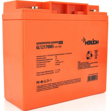 Merlion GL12170M5 12V17Ah