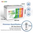 Акумулятор літій-залізо-фосфатний (LiFePo4) Redodo 1280Wh LiFePO4 (12V 100Ah)