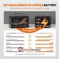 Аккумулятор литий-железо-фосфатный LiTime L12V100-BASIC-4-A100 LiFePO4 12,8V 100Ah 1280Wh(100/100A)