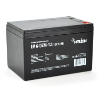 Merlion EV 6-DZM-12 — 12V 12Ah Merlion EV 6-DZM-12 — 12V 12Ah