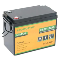 Eco-Worthy LiFePO4 25,6В 100Ач (Eco-Worthy-251002) Eco-Worthy LiFePO4 25,6В 100Ач (Eco-Worthy-251002)