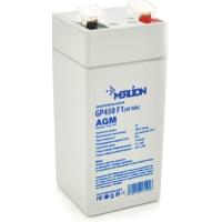 Merlion AGM GP450F1 4V 5Ah