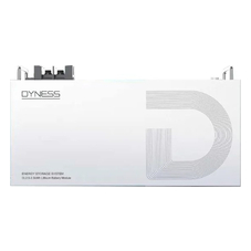Dyness DL2.5 LiFePO4, 25.6В/100Ач