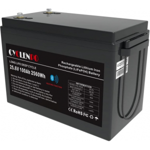 Cyclen 25,6V 100Ah LiFePo4 (подогрев/Bluetooth)