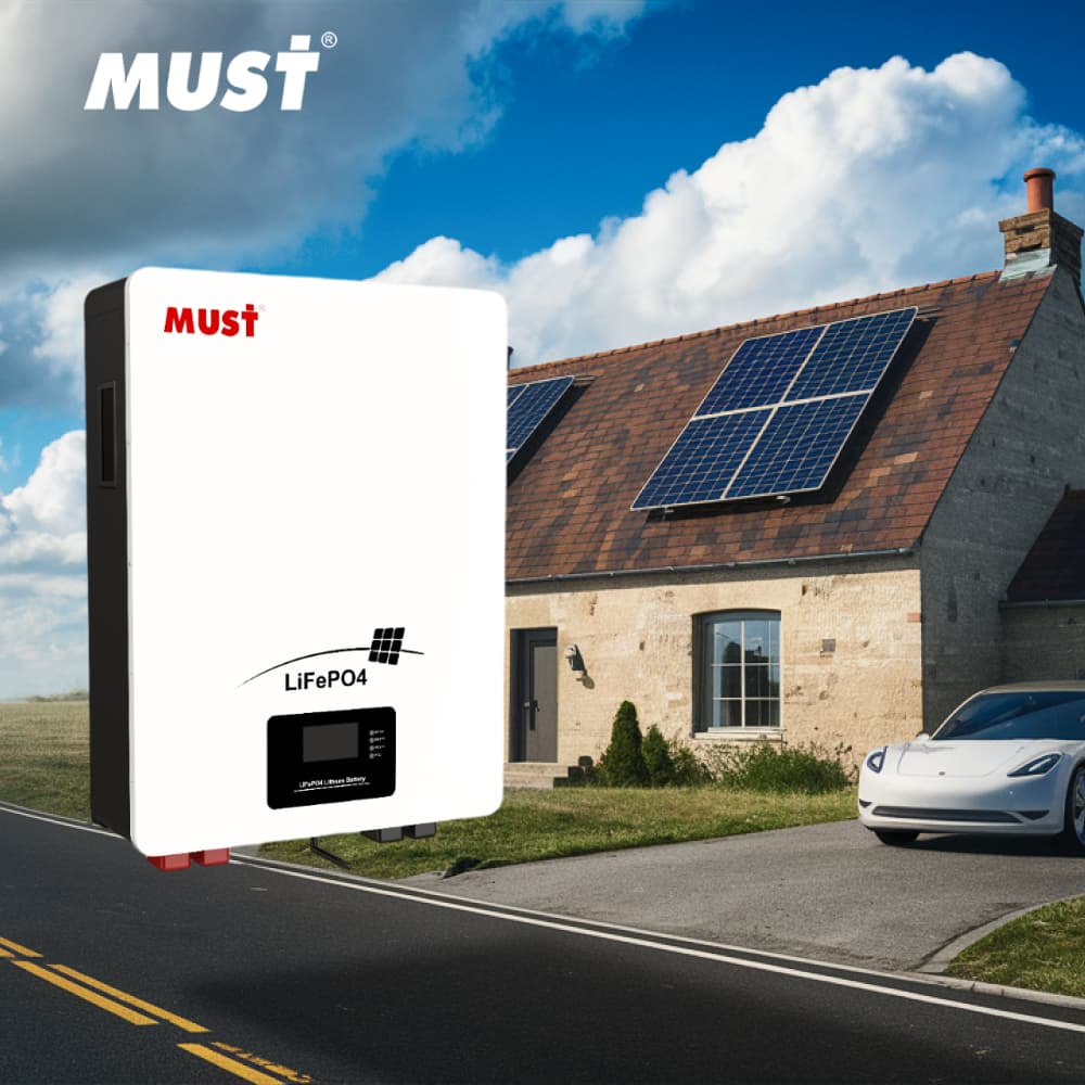 Акумулятор літій-залізо-фосфатний (LiFePo4) Must LP16-48100 LiFePO4 (51.2V/100Ah)