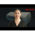 Кондиционер настенный Sensei SAC-24SKWA/I Alaska Inverter