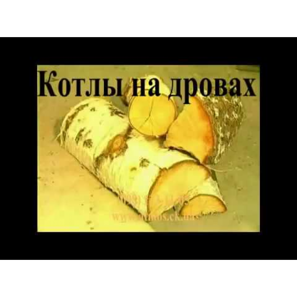 Котел піролізний Atmos C 18 S