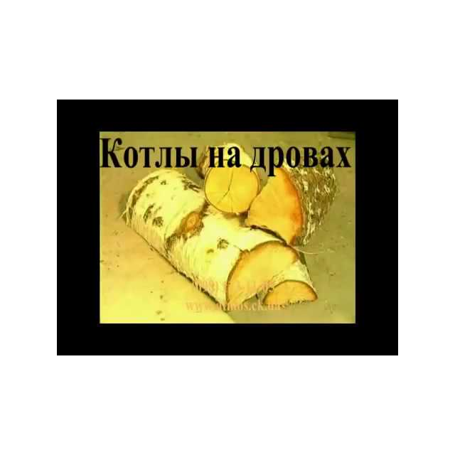 Котел піролізний Atmos C 18 S