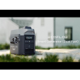 Комбінований генератор EcoFlow Smart Generator Dual Fuel (GasEBDUAL-EU)