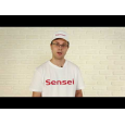 Кондиционер настенный Sensei SAC-18HRWE/I Elegant Inverter Pro