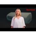 Кондиционер настенный Sensei SAC-24SKWA/I Alaska Inverter