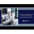 Очиститель Electrolux EAP-1040D Yin&amp;Yang