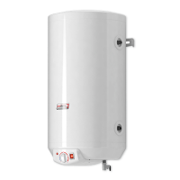 Protherm WEL 100 ME (0010015993)  - для работы с двухконтурным котлом