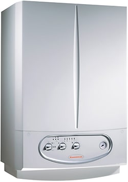 Газовый котел Immergas Zeus 24 KW Е